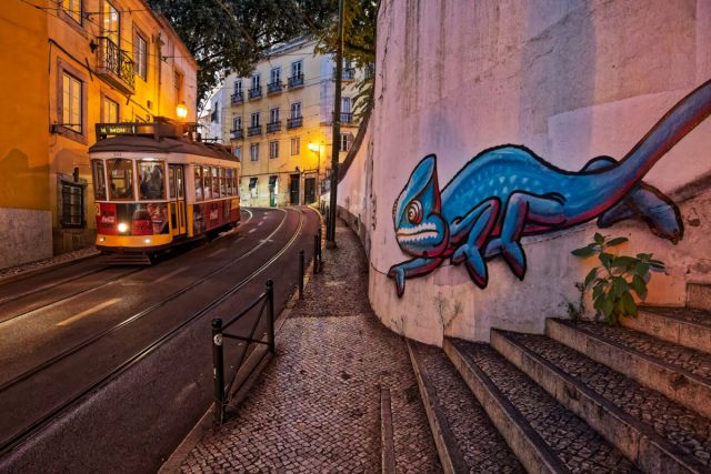 COMP 1 Colour PDI 18 Tram-a Chameleon by Colin Place