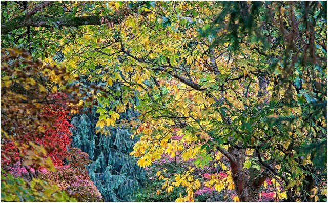 COMP 4 COLOUR PDI 18 Autumn by Michael Hayes