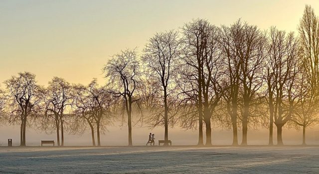 COMP 4 COLOUR PDI 18 Winter Fog, Steady Stride by Miguel Gascon