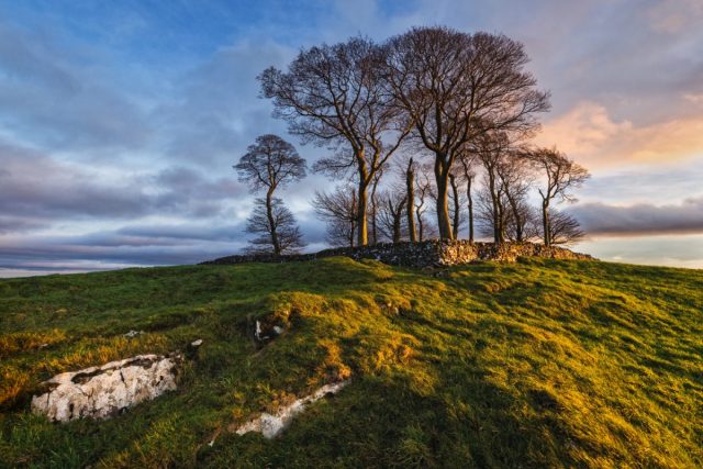 COMP 4 COLOUR PDI 19 Moat Low by Colin Place