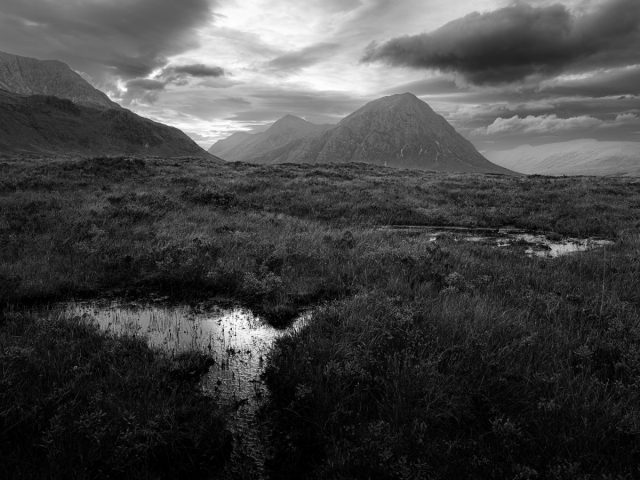 COMP 5 MONO PDI 19 Stillness Roars by Dan Davies