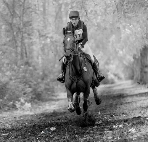COMP 5 MONO PDI 19 Woodland Gallop by Alan Booth