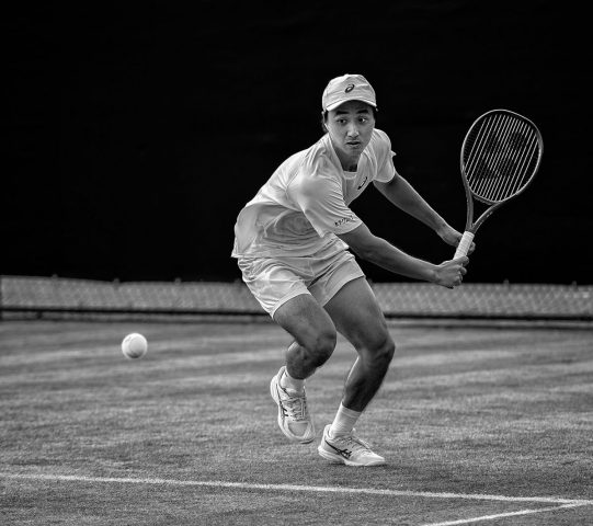 COMP 5 MONO PRINT 19 Mochizuki Backhand by Vin Scothern